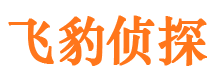 临海市婚外情调查